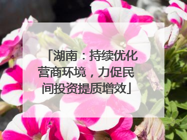 湖南：持续优化营商环境，力促民间投资提质增效
