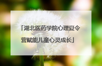 湖北医药学院心理夏令营赋能儿童心灵成长