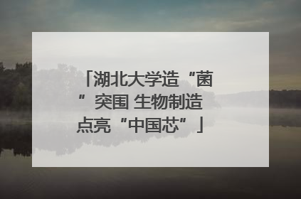 湖北大学造“菌”突围 生物制造点亮“中国芯”