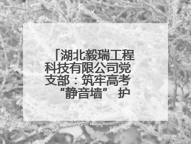 湖北毅瑞工程科技有限公司党支部：筑牢高考“静音墙” 护航学子逐梦路