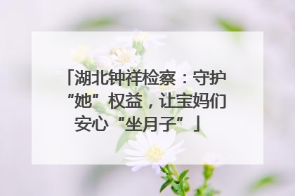 湖北钟祥检察：守护“她”权益，让宝妈们安心“坐月子”