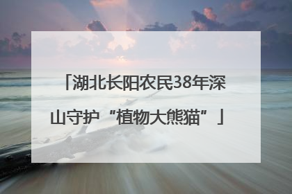 湖北长阳农民38年深山守护“植物大熊猫”