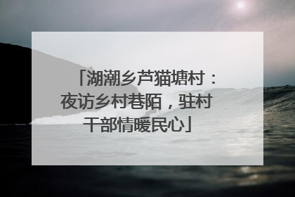 湖潮乡芦猫塘村：夜访乡村巷陌，驻村干部情暖民心