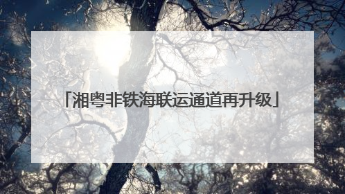 湘粤非铁海联运通道再升级