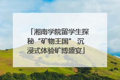 湘南学院留学生探秘“矿物王国” 沉浸式体验矿博盛宴