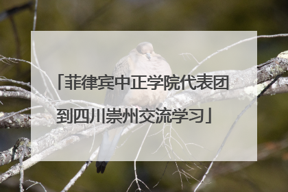 菲律宾中正学院代表团到四川崇州交流学习