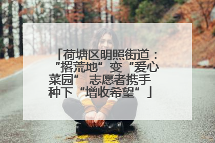 荷塘区明照街道：“撂荒地”变“爱心菜园” 志愿者携手种下“增收希望”