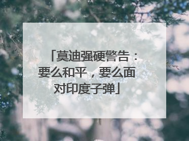 莫迪强硬警告：要么和平，要么面对印度子弹