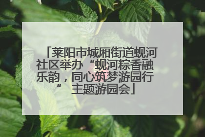 莱阳市城厢街道蚬河社区举办“蚬河粽香融乐韵，同心筑梦游园行” 主题游园会
