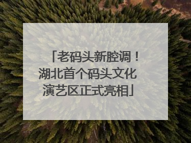 老码头新腔调！湖北首个码头文化演艺区正式亮相