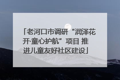 老河口市调研“润泽花开·童心护航”项目 推进儿童友好社区建设