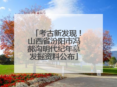 考古新发现！山西省汾阳市冯郝沟明代纪年墓发掘资料公布