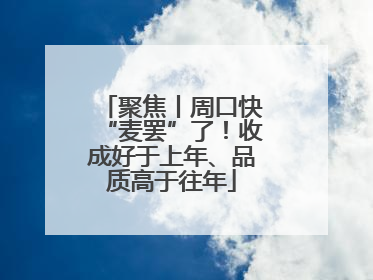 聚焦丨周口快“麦罢”了！收成好于上年、品质高于往年