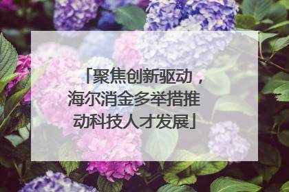 聚焦创新驱动，海尔消金多举措推动科技人才发展