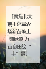 聚焦北大荒丨延军农场新苗破土铺绿浪 万亩良田绘“丰”景