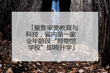 聚焦审美教育与科技，省内第一家全年龄段“博物馆学校”即将开学