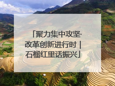 聚力集中攻坚·改革创新进行时｜石榴红里话振兴