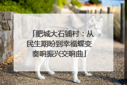 肥城大石铺村：从民生期盼到幸福蝶变奏响振兴交响曲