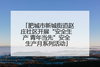 肥城市新城街道赵庄社区开展“安全生产 青年当先”安全生产月系列活动
