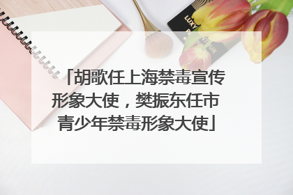 胡歌任上海禁毒宣传形象大使，樊振东任市青少年禁毒形象大使