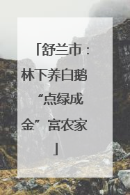 舒兰市：林下养白鹅 “点绿成金”富农家