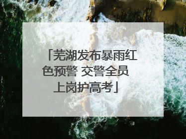 芜湖发布暴雨红色预警 交警全员上岗护高考