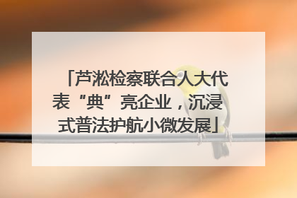 芦淞检察联合人大代表“典”亮企业，沉浸式普法护航小微发展