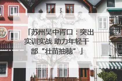 苏州吴中胥口：突出实训实战 助力年轻干部“壮苗抽穗”