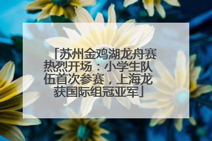 苏州金鸡湖龙舟赛热烈开场：小学生队伍首次参赛，上海龙获国际组冠亚军
