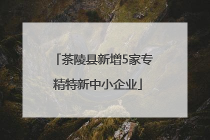 茶陵县新增5家专精特新中小企业