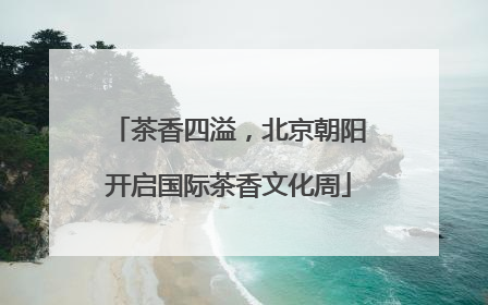 茶香四溢，北京朝阳开启国际茶香文化周