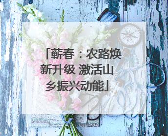 蕲春：农路焕新升级 激活山乡振兴动能