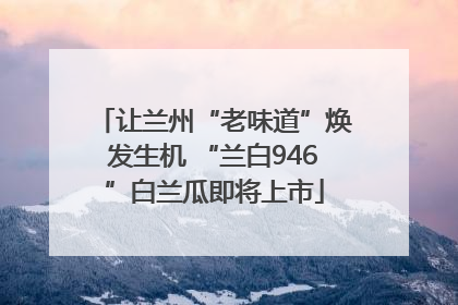 让兰州“老味道”焕发生机 “兰白946”白兰瓜即将上市