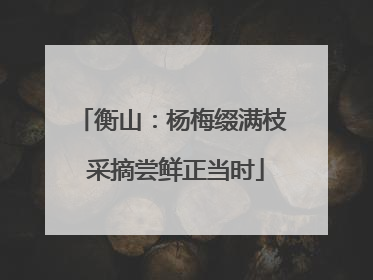 衡山：杨梅缀满枝 采摘尝鲜正当时