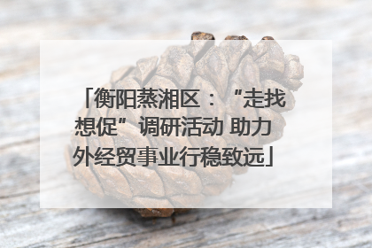 衡阳蒸湘区：“走找想促”调研活动 助力外经贸事业行稳致远