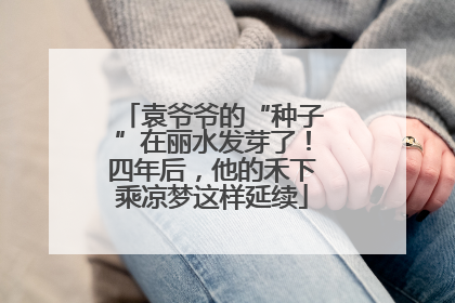 袁爷爷的“种子”在丽水发芽了！四年后，他的禾下乘凉梦这样延续