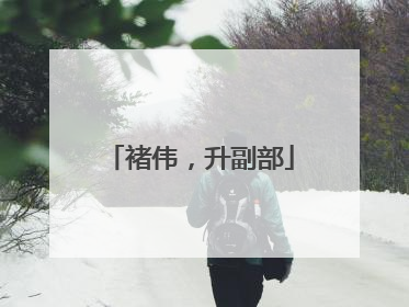 褚伟，升副部