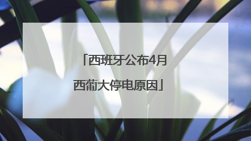 西班牙公布4月西葡大停电原因