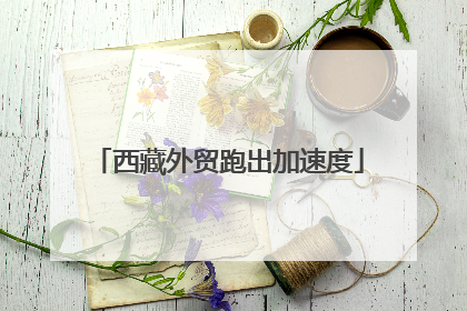 西藏外贸跑出加速度