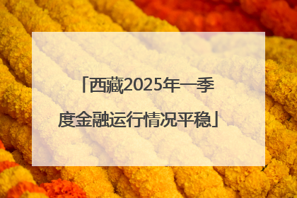 西藏2025年一季度金融运行情况平稳