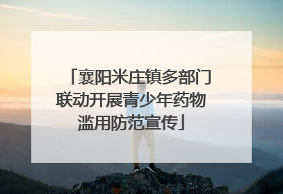 襄阳米庄镇多部门联动开展青少年药物滥用防范宣传
