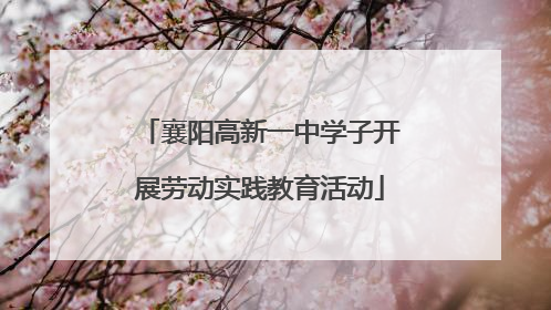 襄阳高新一中学子开展劳动实践教育活动