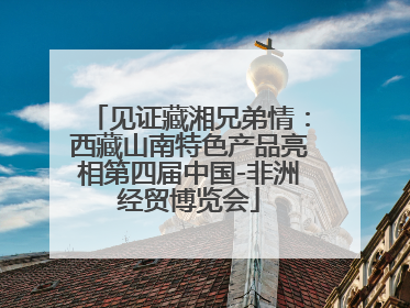 见证藏湘兄弟情：西藏山南特色产品亮相第四届中国-非洲经贸博览会