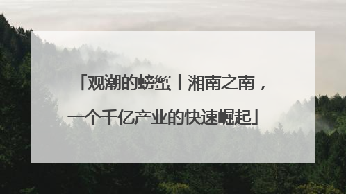 观潮的螃蟹丨湘南之南，一个千亿产业的快速崛起