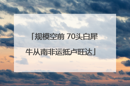 规模空前 70头白犀牛从南非运抵卢旺达