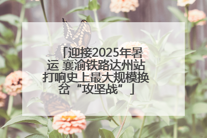 迎接2025年暑运 襄渝铁路达州站打响史上最大规模换岔“攻坚战”
