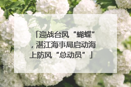 迎战台风“蝴蝶”，湛江海事局启动海上防风“总动员”