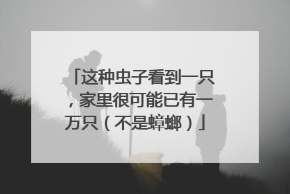 这种虫子看到一只，家里很可能已有一万只（不是蟑螂）