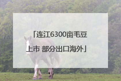 连江6300亩毛豆上市 部分出口海外