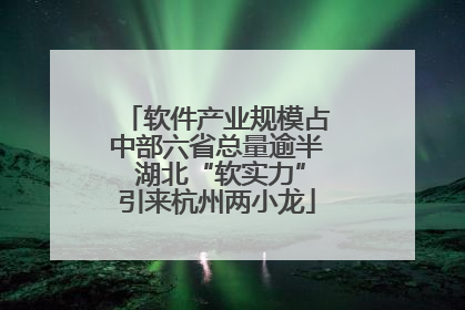 软件产业规模占中部六省总量逾半 湖北“软实力”引来杭州两小龙